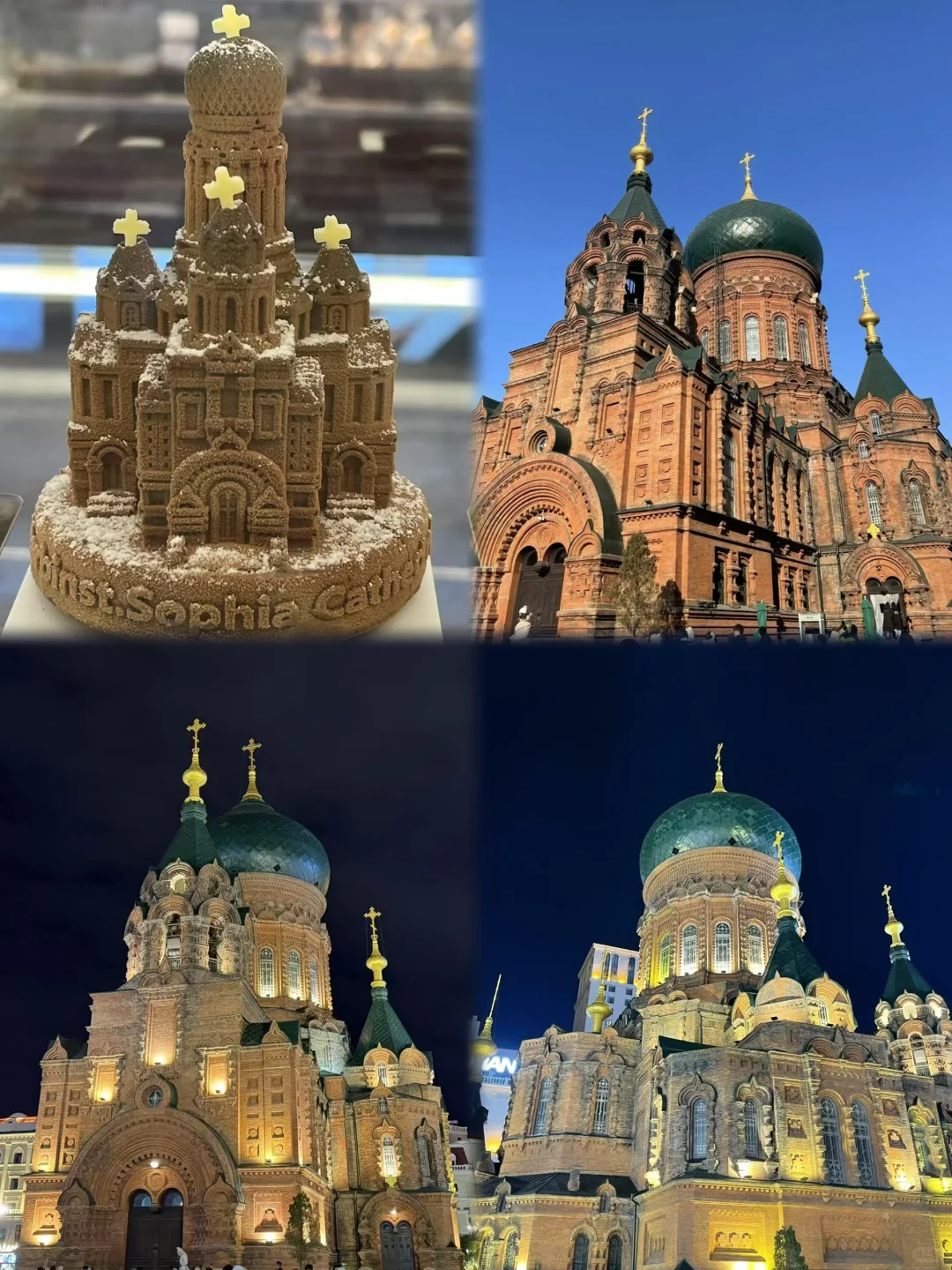 哈尔滨必打卡景点，十一极地馆速通攻略！