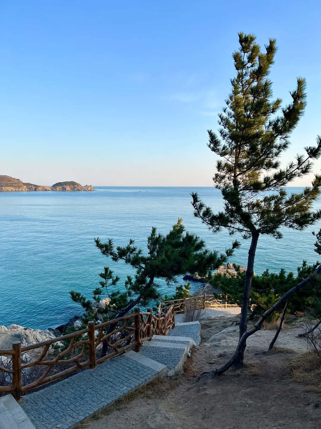 威海3.30春日实况（📍附打卡点）