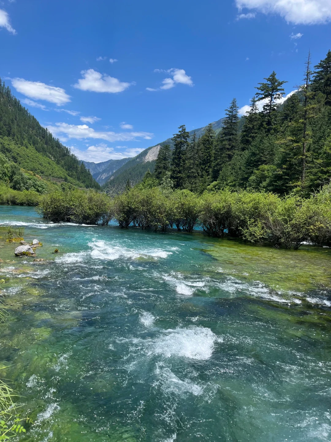8.9📍九寨沟已回，已被宰🤬内容很脏，但真实