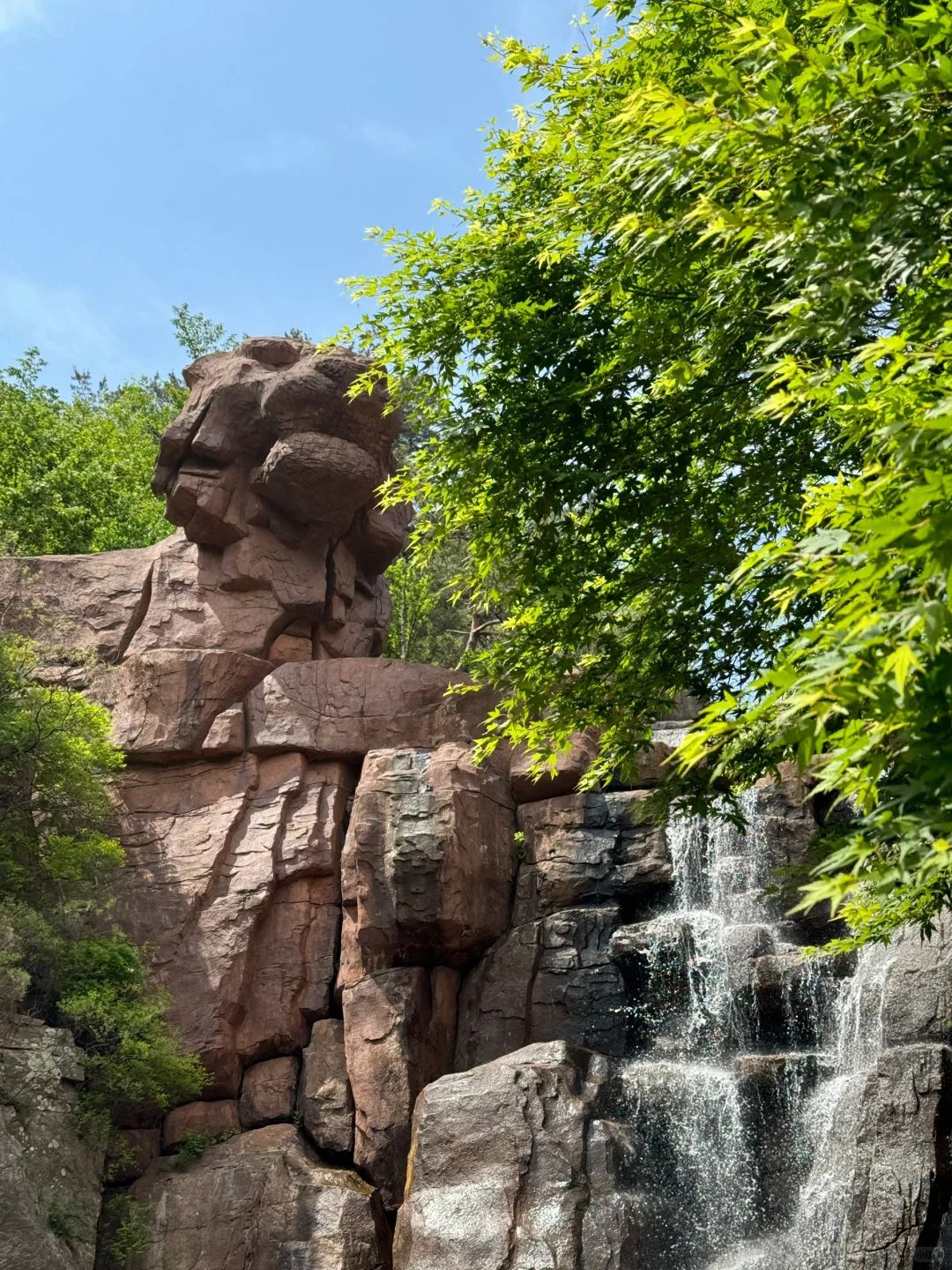 真没去九寨沟！在青岛！⛰️