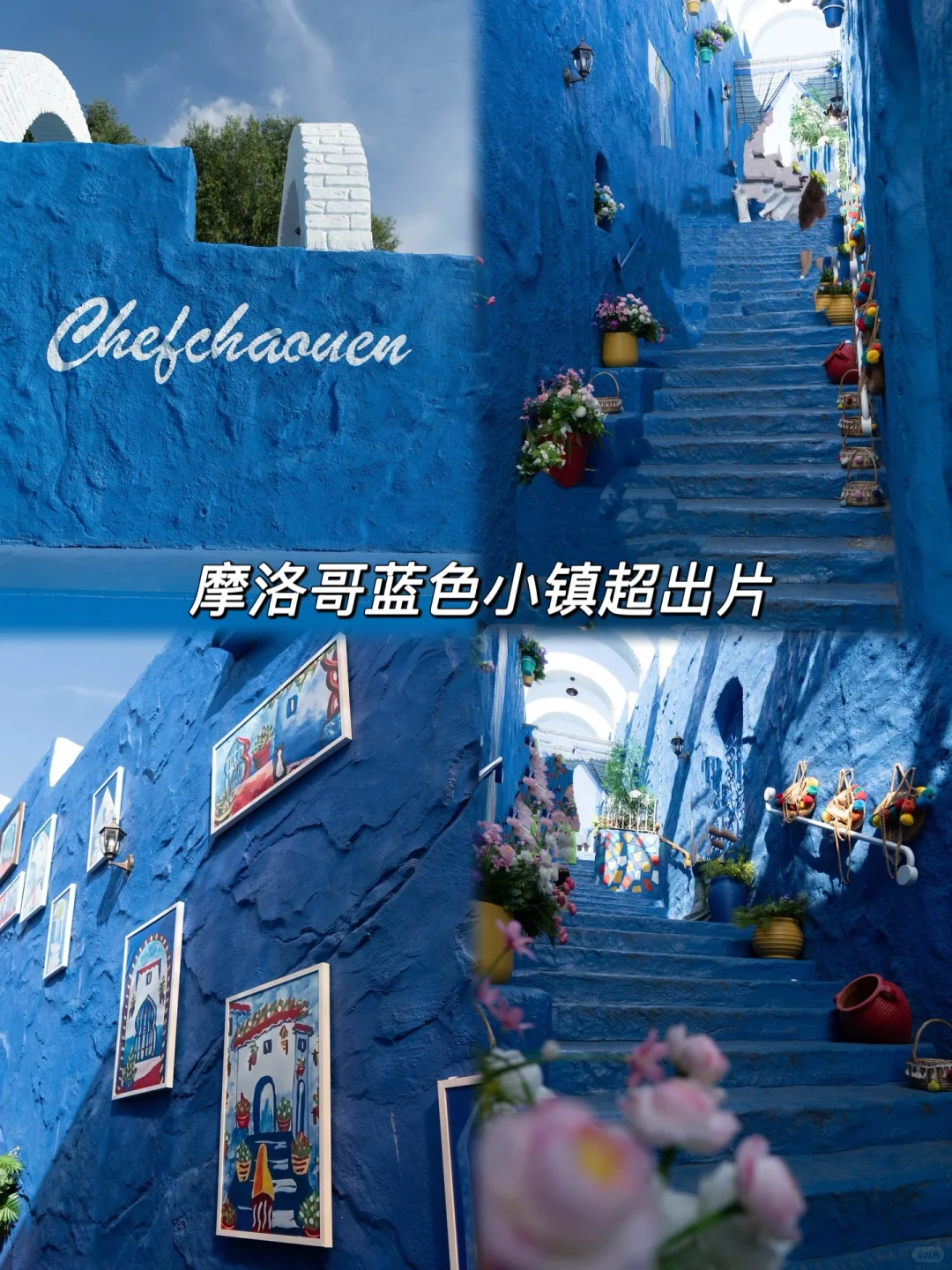 哈尔滨必打卡景点，十一极地馆速通攻略！