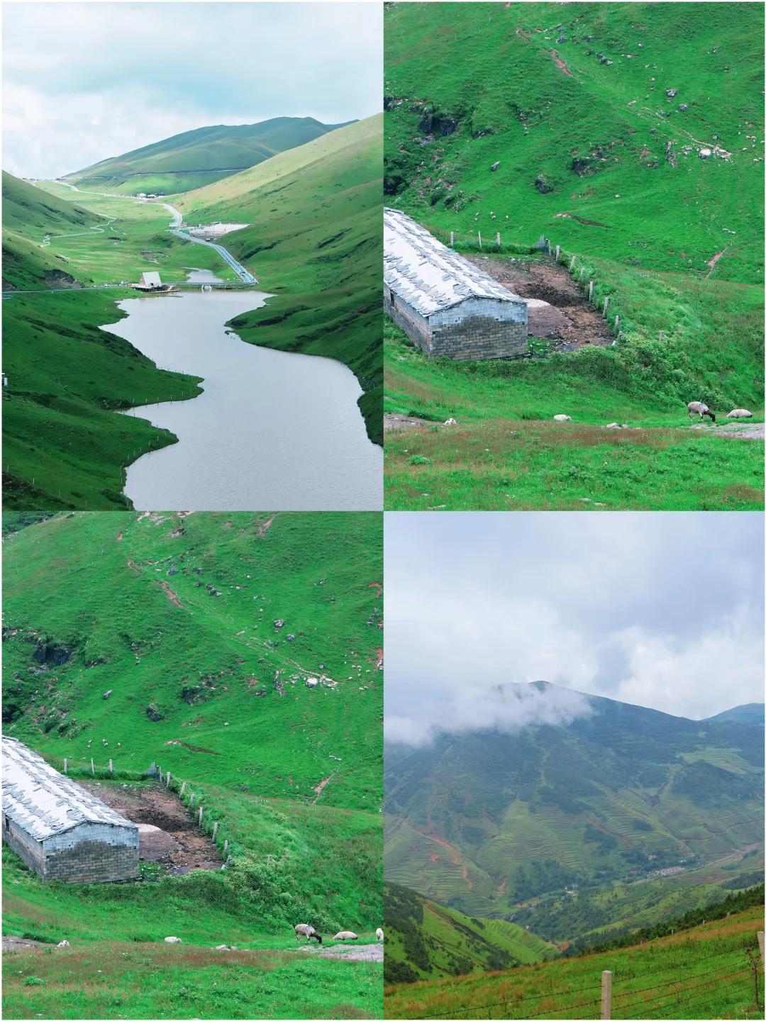 带爸妈出游必看!不挤不累的宝藏城市攻略