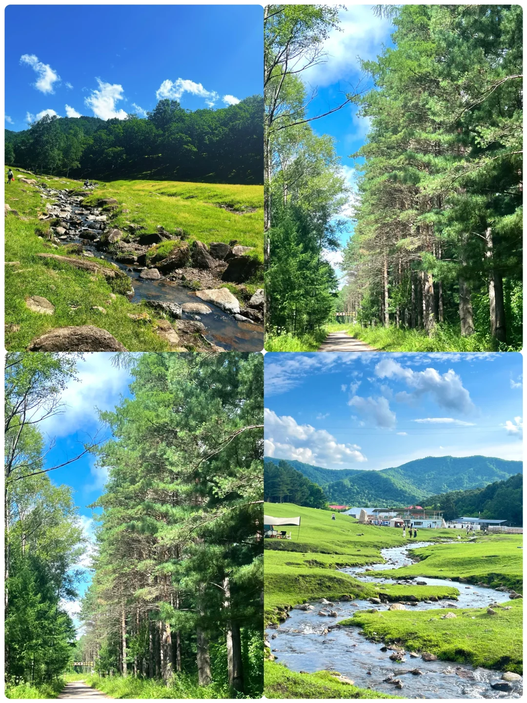 8-9月适合避暑的4️⃣个低消费城市❗️