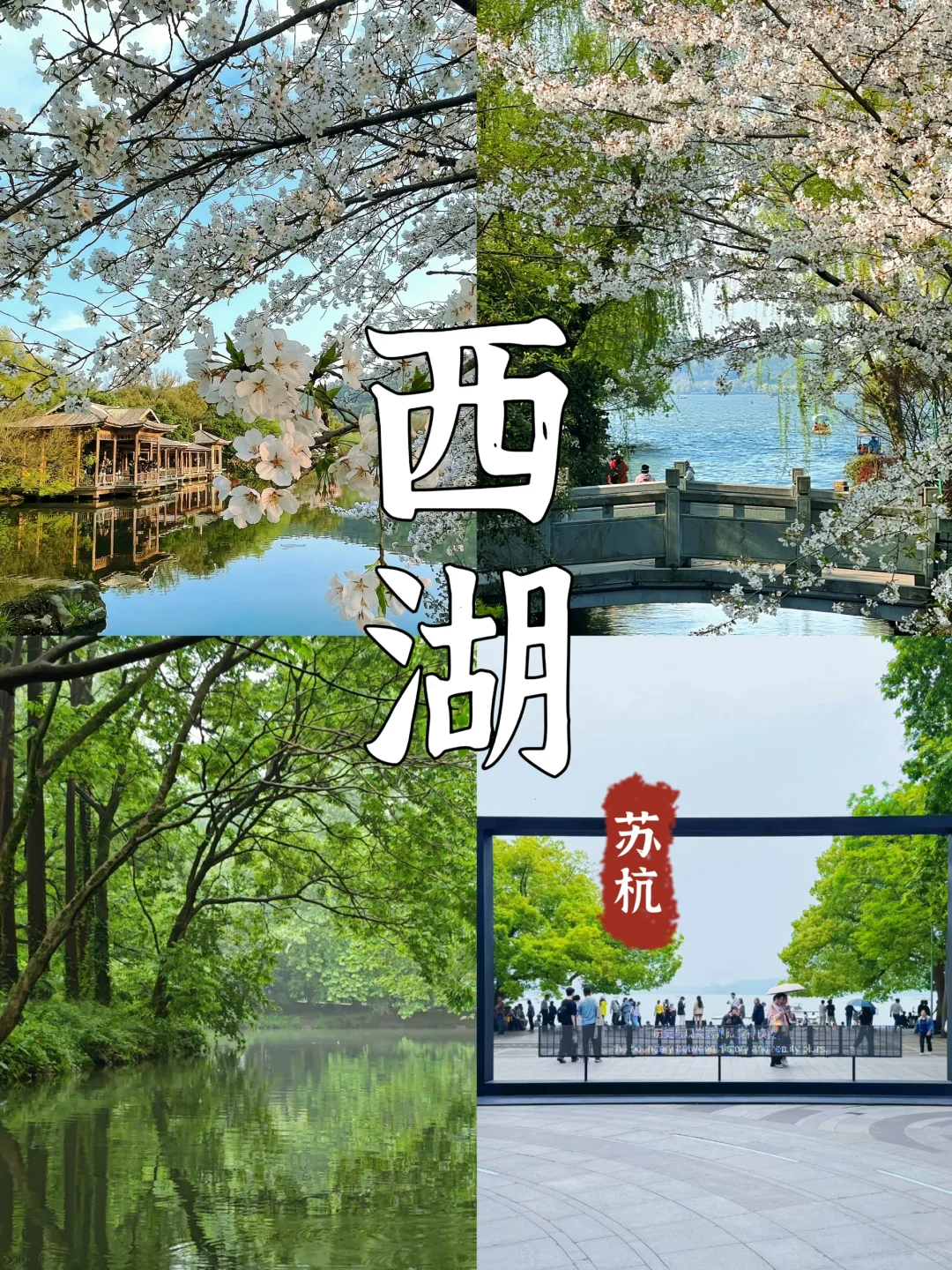 ✈️苏杭回来4天才花700+💰真的很划算