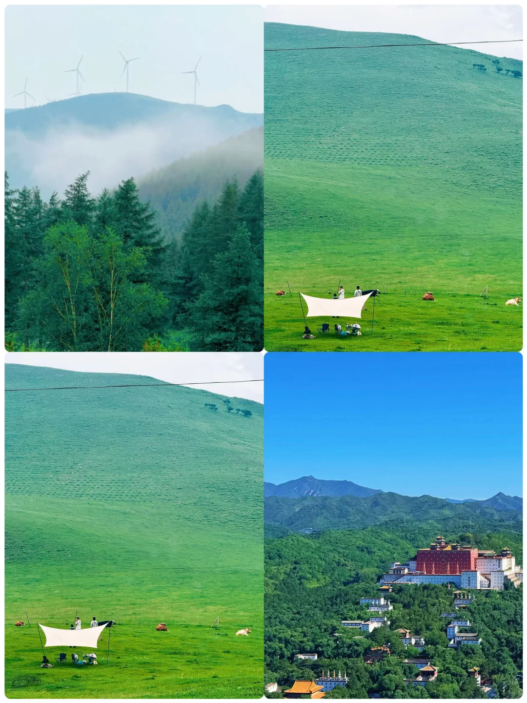 8-9月适合避暑的4️⃣个低消费城市❗️