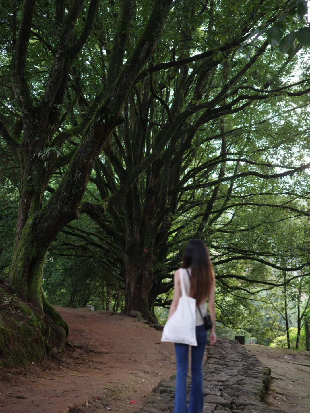 北京出发，国内每个月适合去的目的地（中）