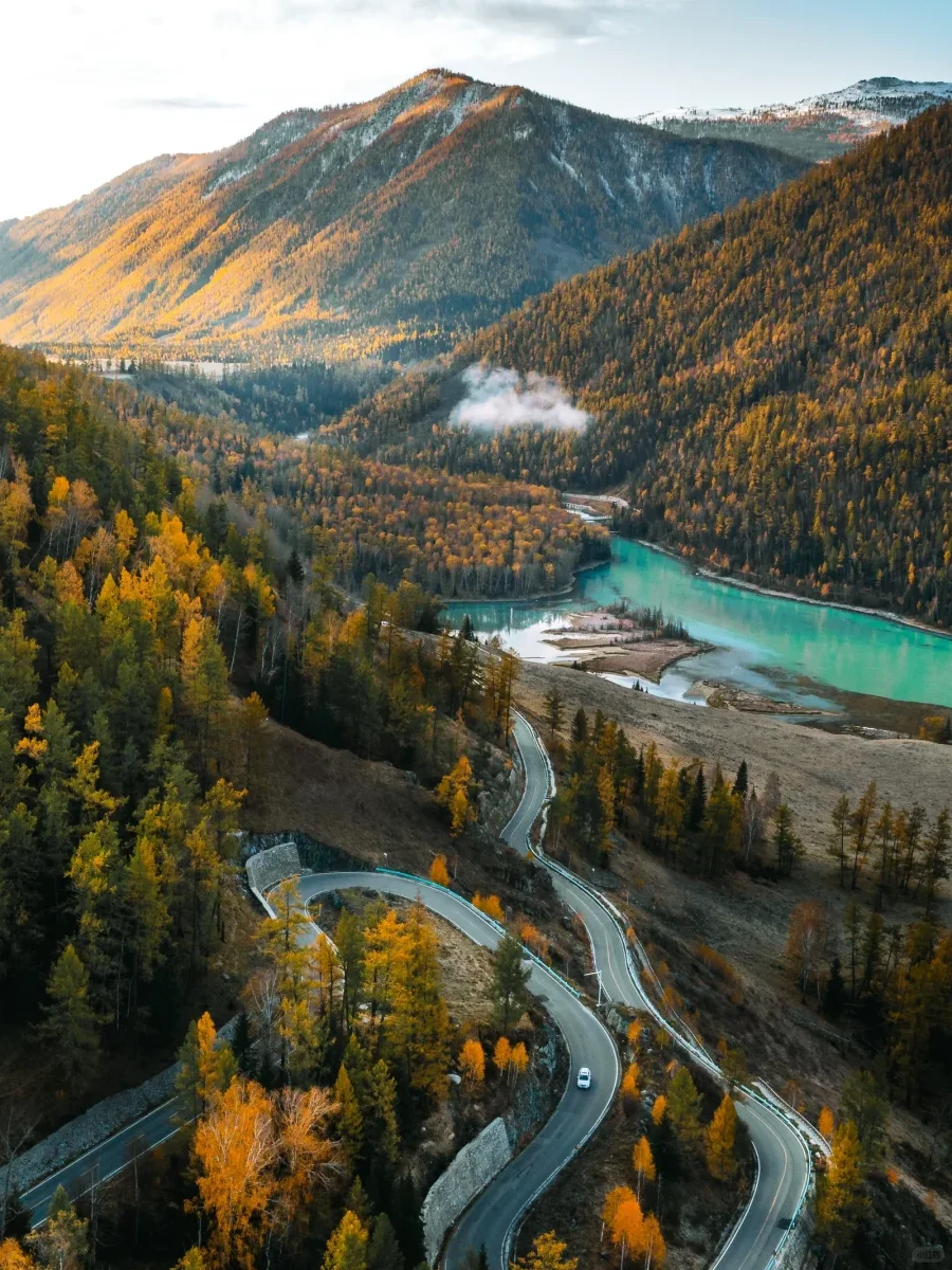 人生建议🍂一定要去看一次九月份的阿勒泰