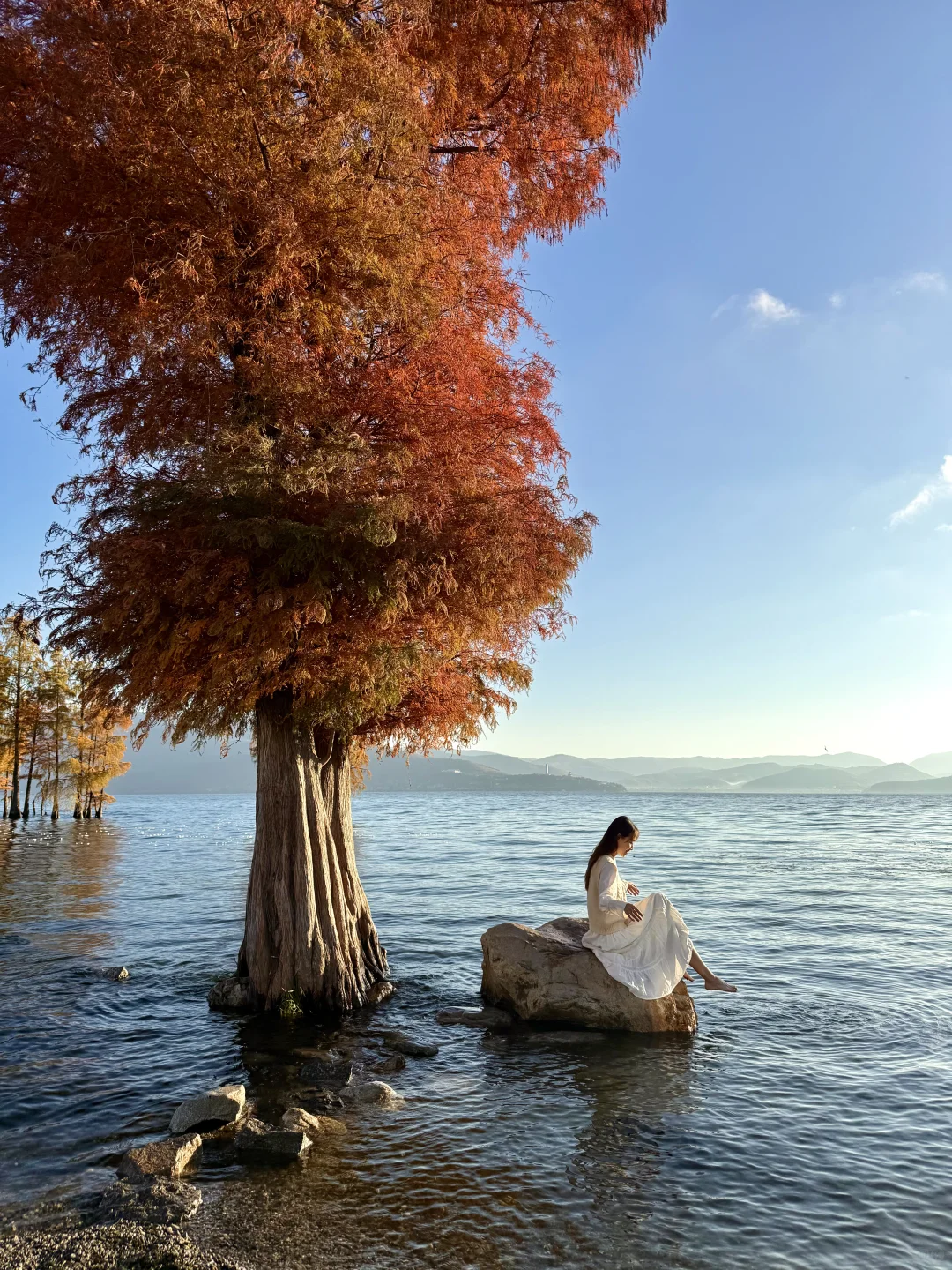 我在大理拍到的人生live！（附18个机位）