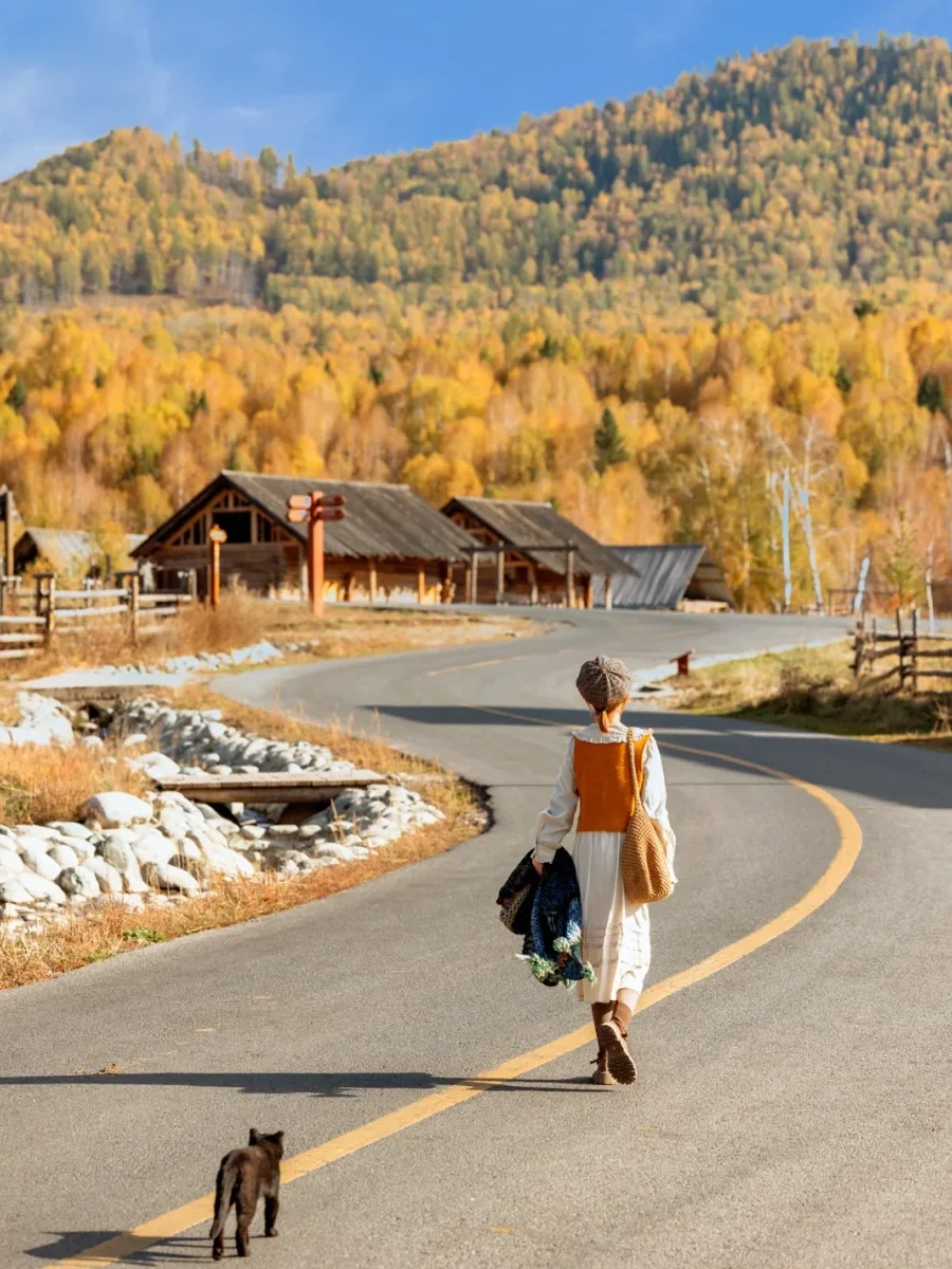 人生建议🍂一定要去看一次九月份的阿勒泰