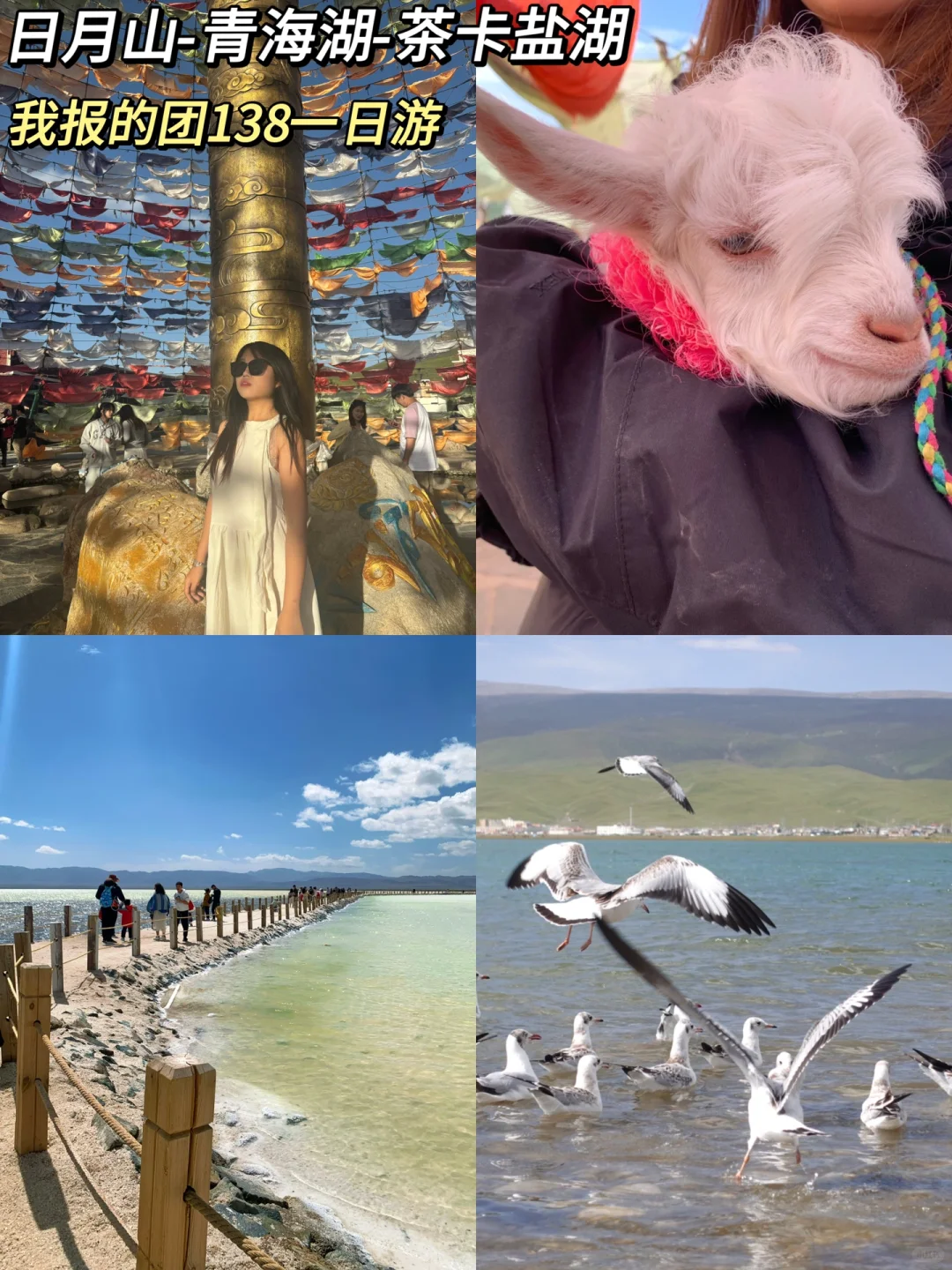 500穷游计划之西宁