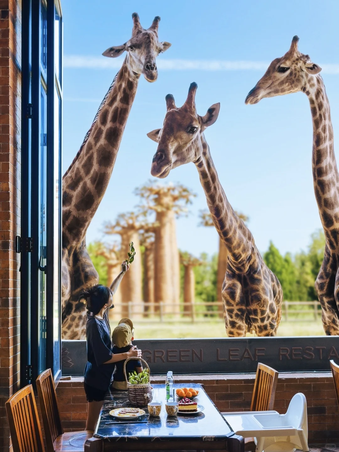 泉城欧乐堡精简攻略｜游玩+酒店+史诗大秀🏰