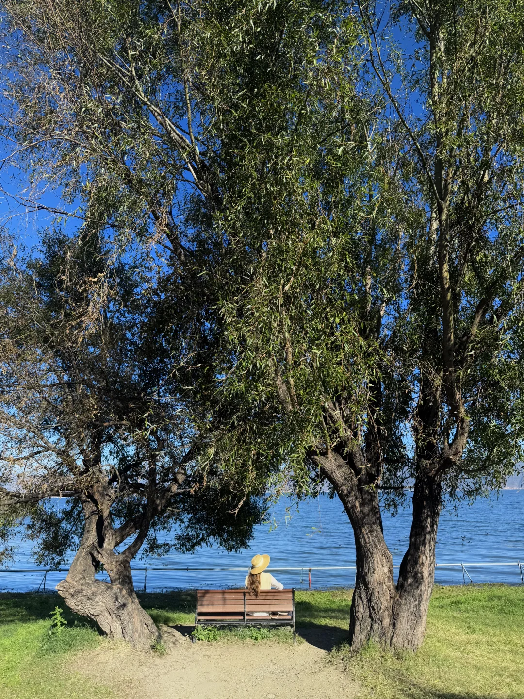 我在大理拍到的人生live！（附18个机位）