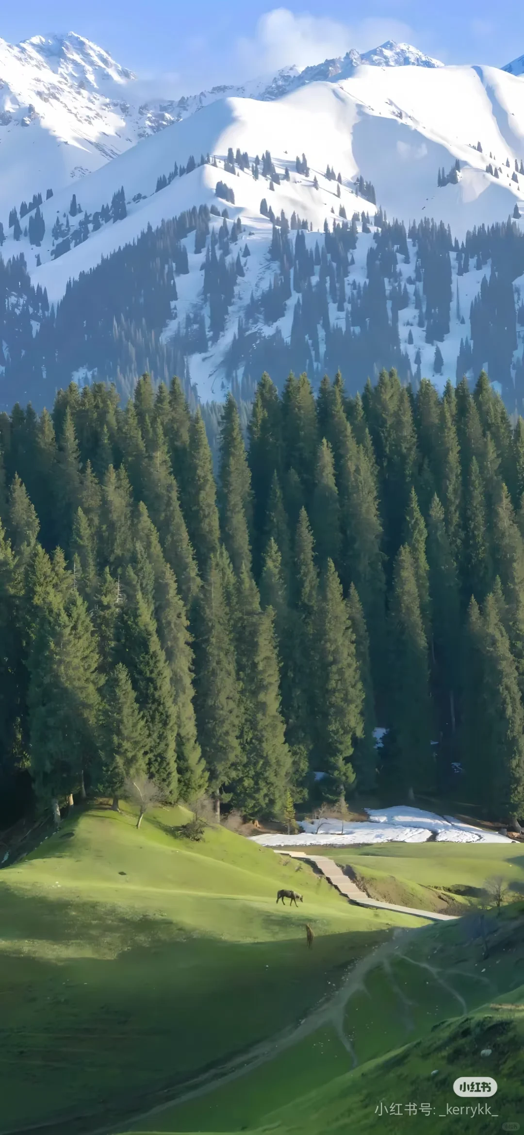 全中国旅行攻略