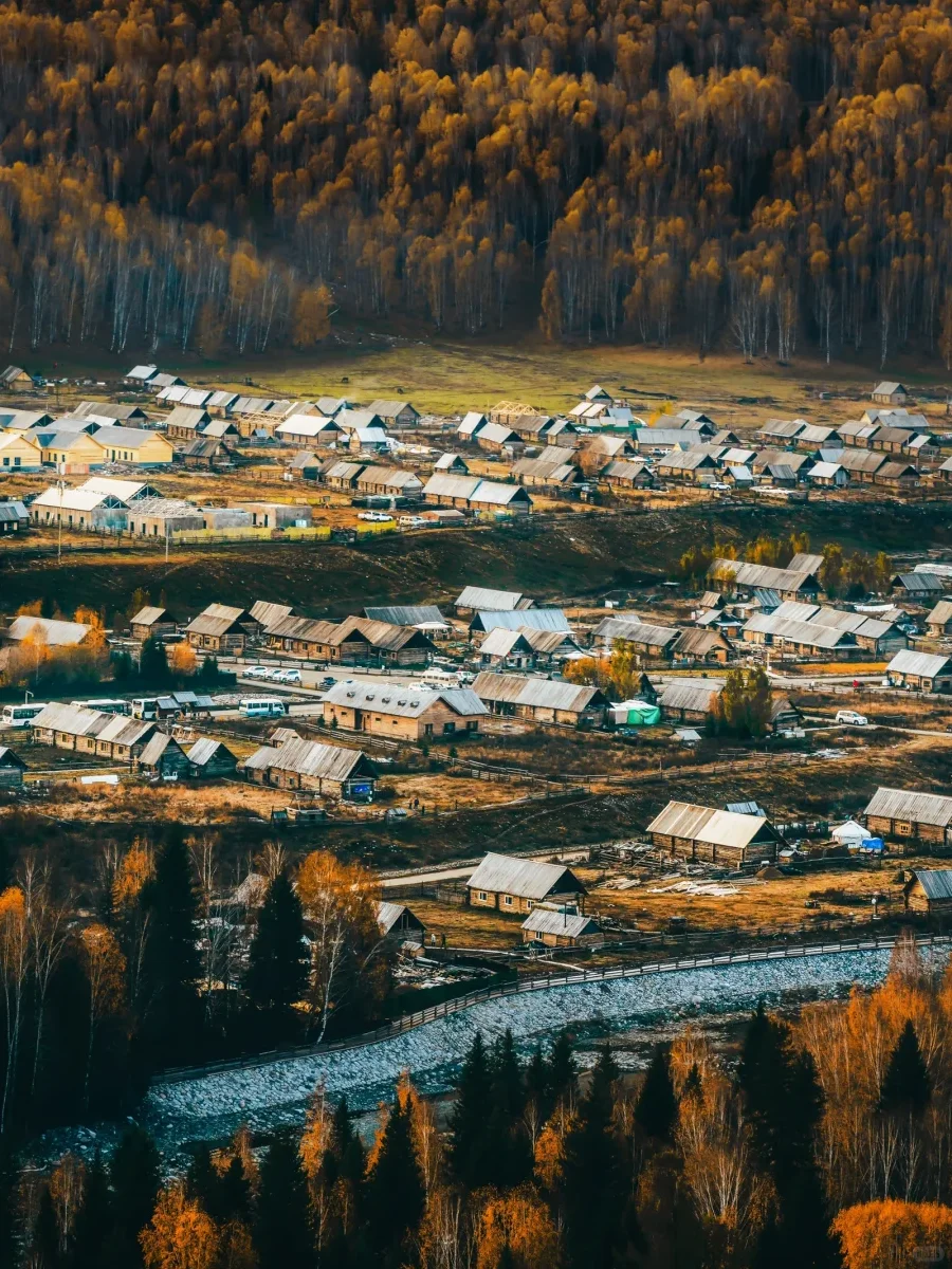 人生建议🍂一定要去看一次九月份的阿勒泰