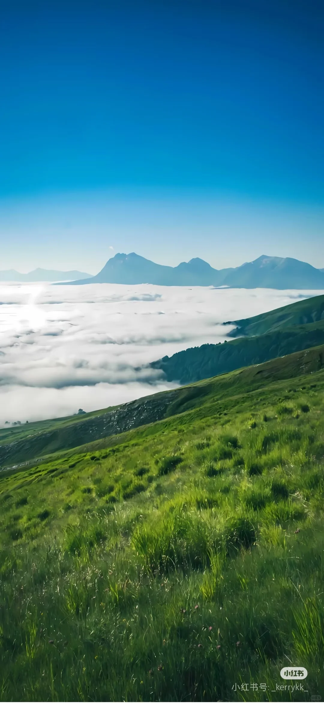 全中国旅行攻略