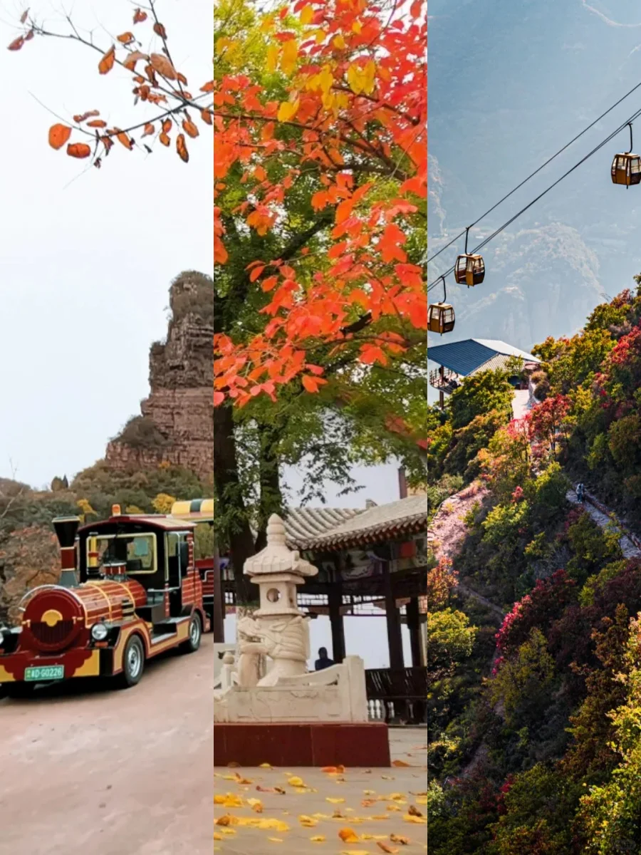 确定了！逃离班味，国庆就去这儿