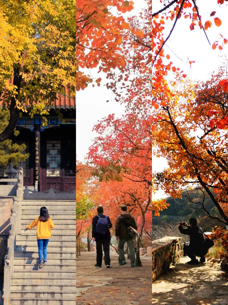 确定了！逃离班味，国庆就去这儿