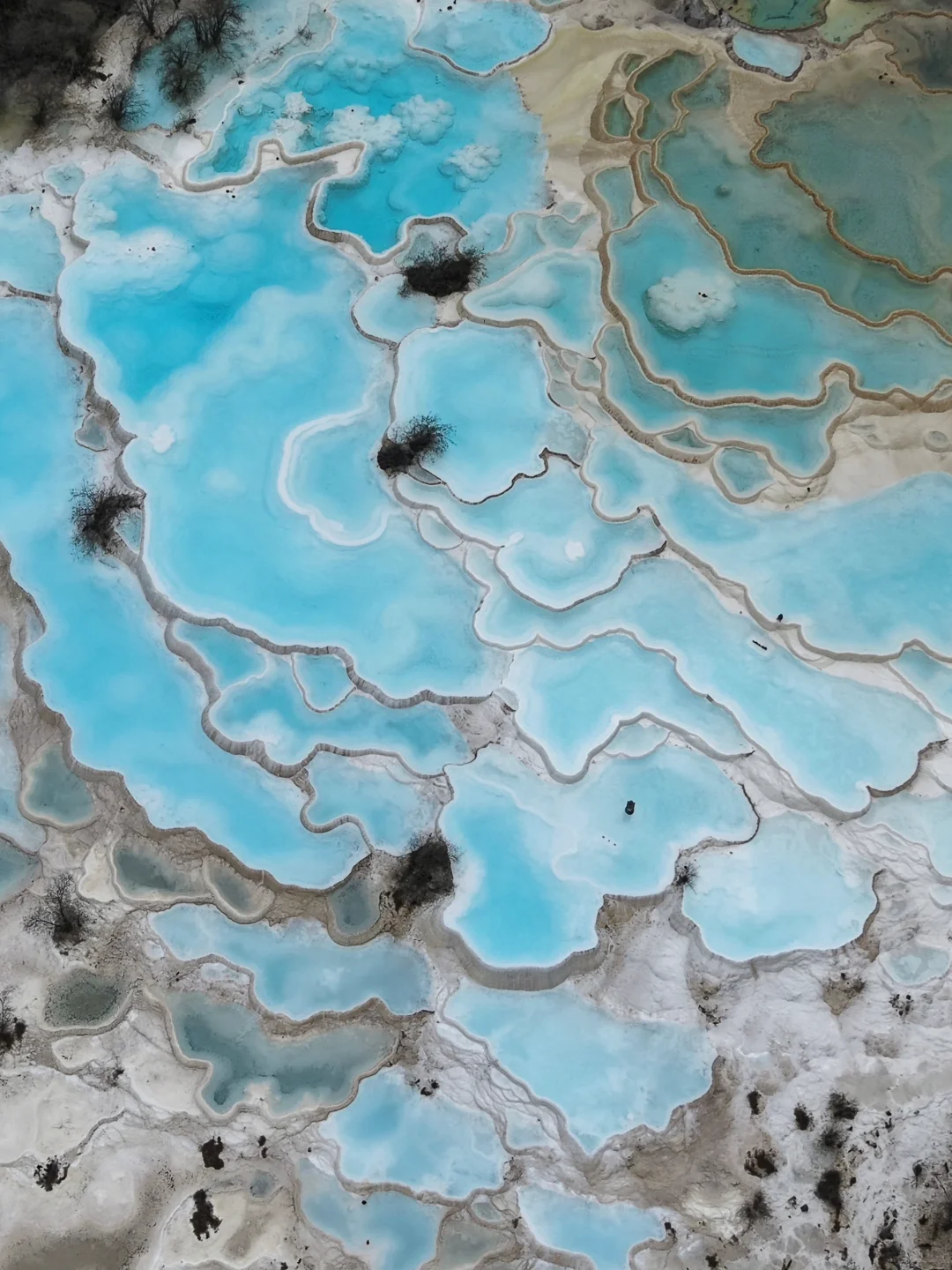 🩵💠🤍🗯️如果不是亲眼所见 还以为是假的！