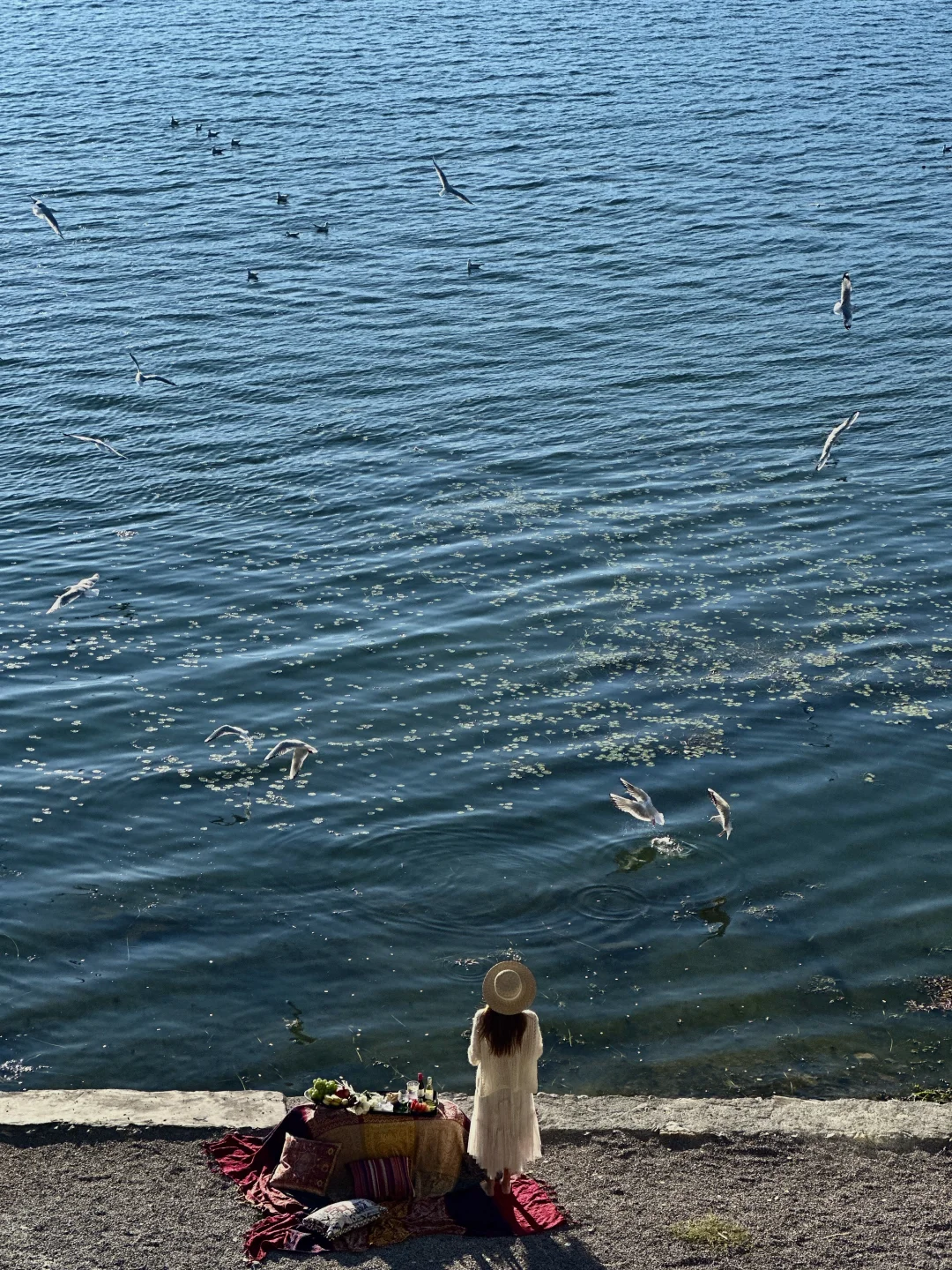 我在大理拍到的人生live！（附18个机位）