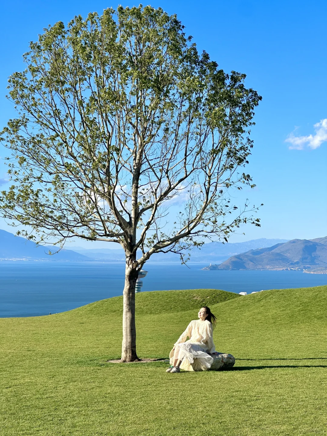 我在大理拍到的人生live！（附18个机位）