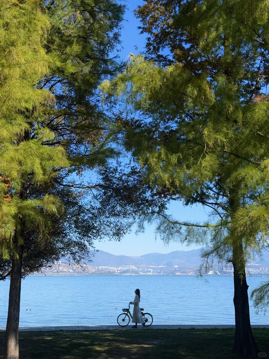 我在大理拍到的人生live！（附18个机位）