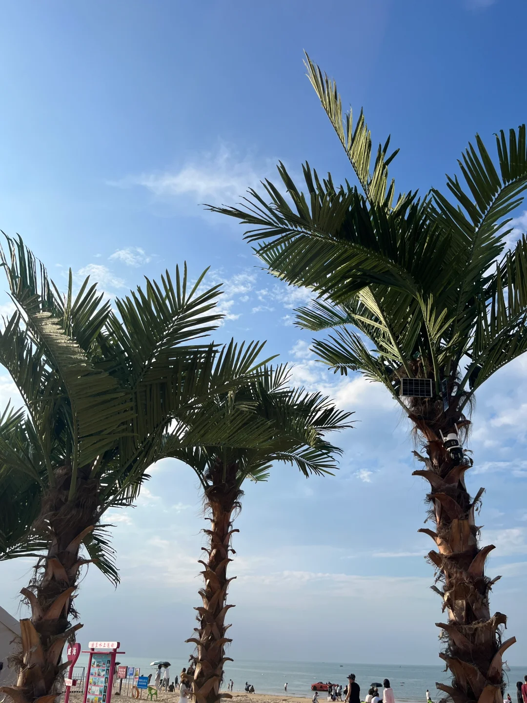 威海那香海🌊要被美哭了😭