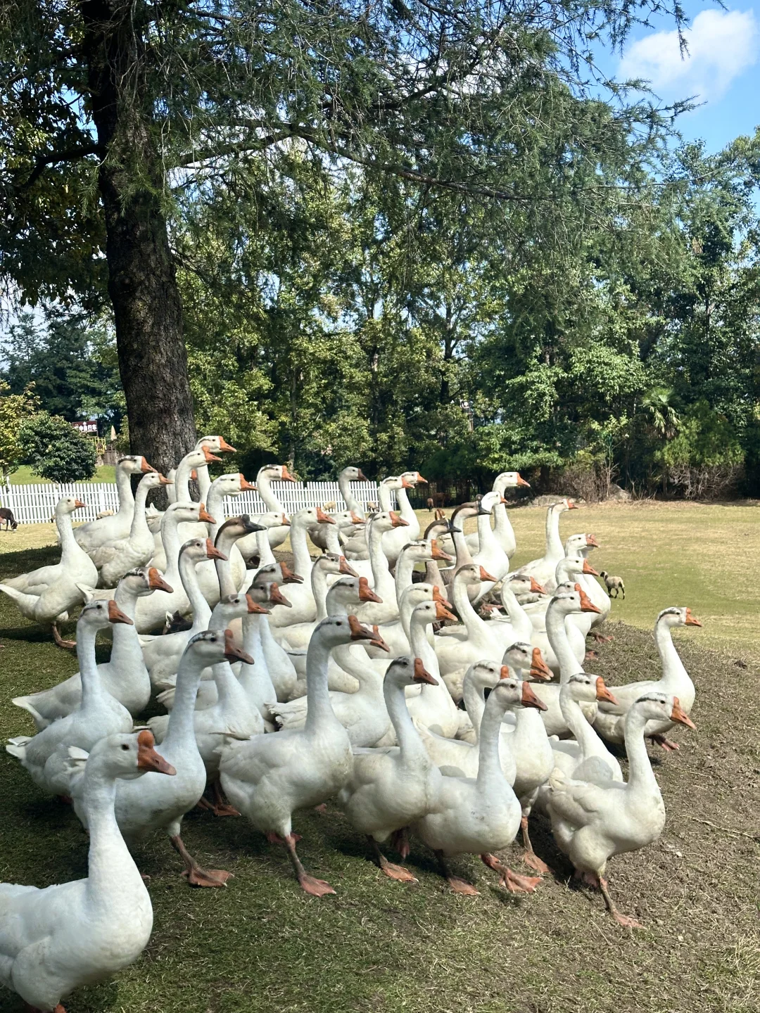我在大理拍到的人生live！（附18个机位）
