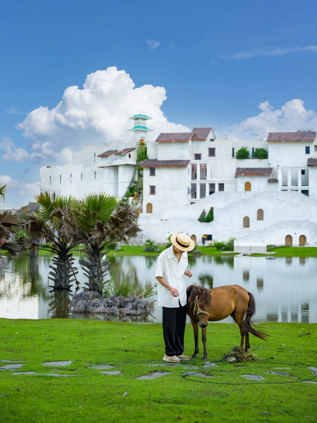 迄今为止，我最喜欢的海滨小城出现了❗❗❗