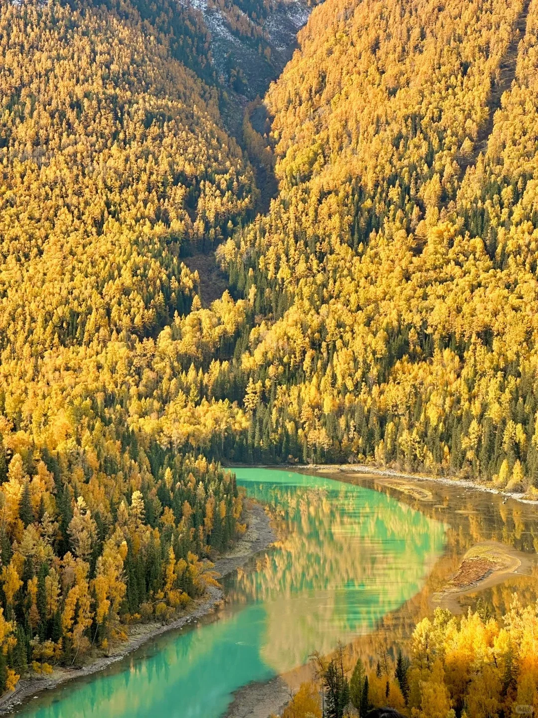 人生建议🍂一定要去看一次九月份的阿勒泰