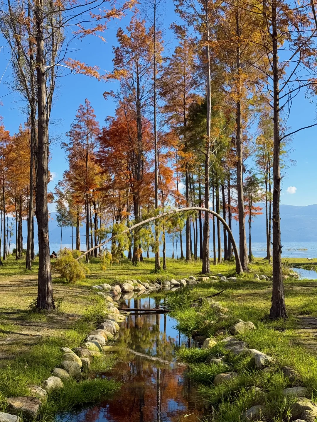 我在大理拍到的人生live！（附18个机位）