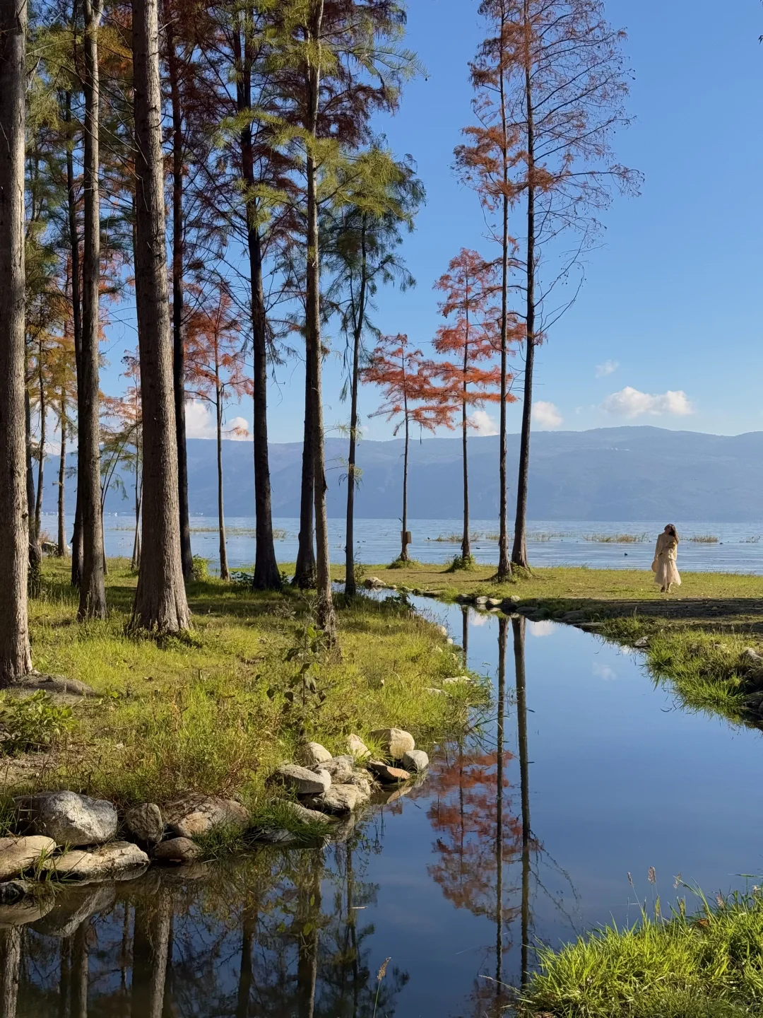 我在大理拍到的人生live！（附18个机位）