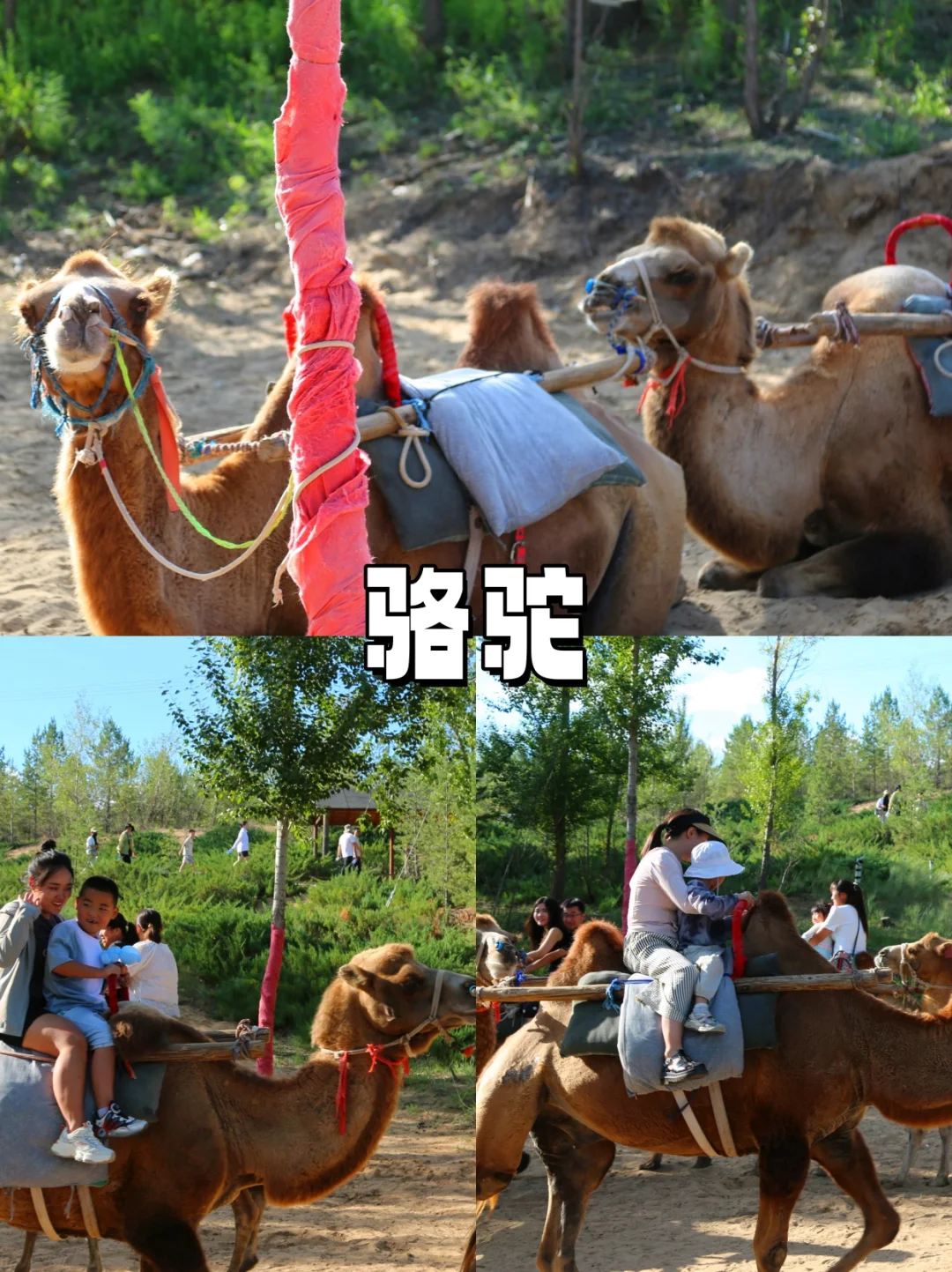 乌审旗—巴图湾 萨拉乌苏旅游区！