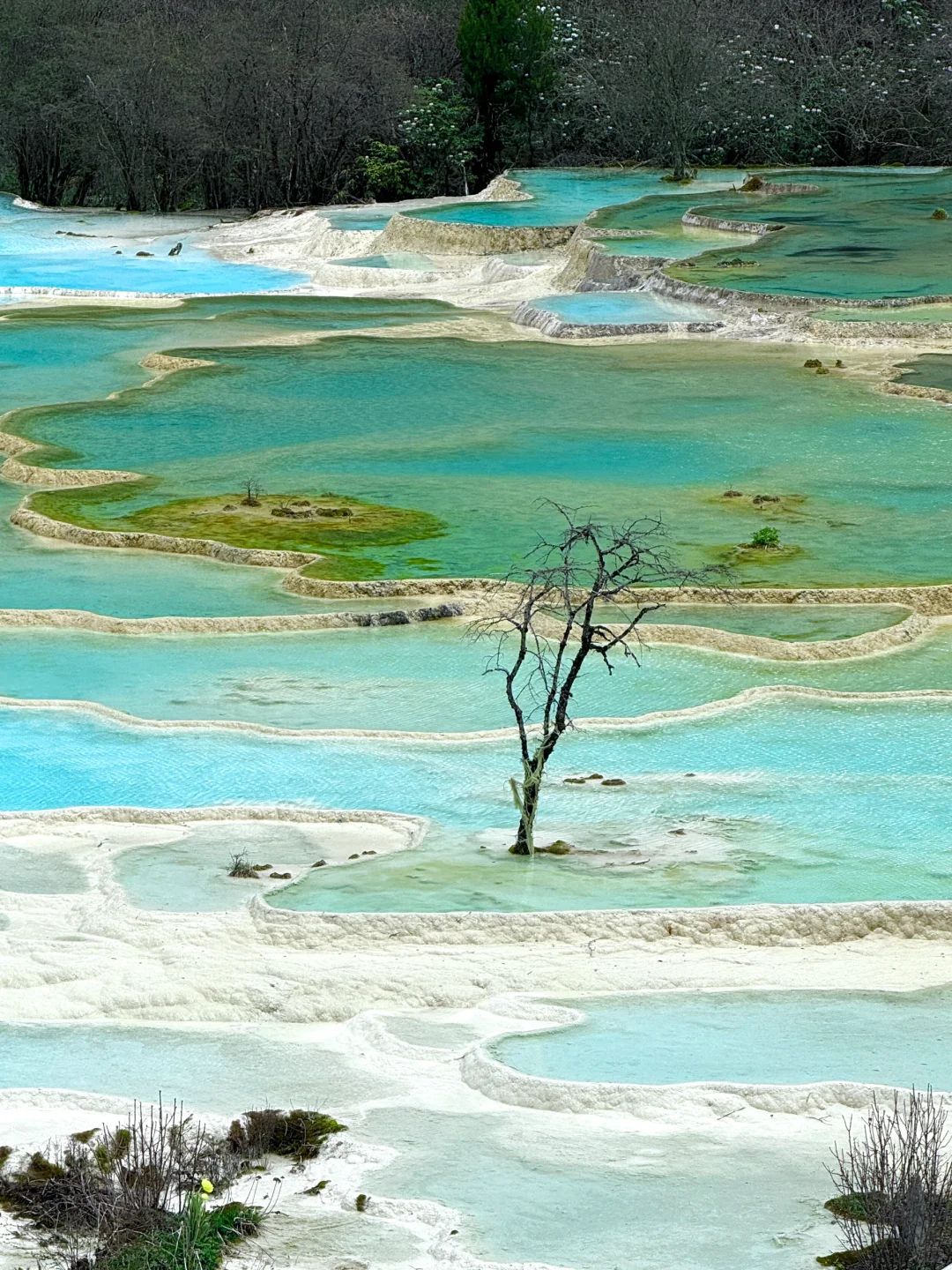 🩵💠🤍🗯️如果不是亲眼所见 还以为是假的！