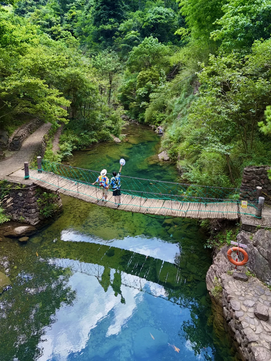 这种绿色是真实存在的🍃live图❗️