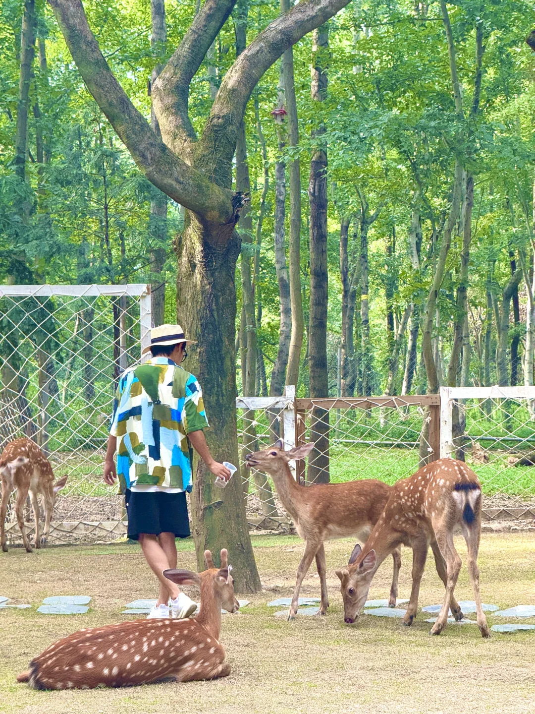 这种绿色是真实存在的🍃live图❗️