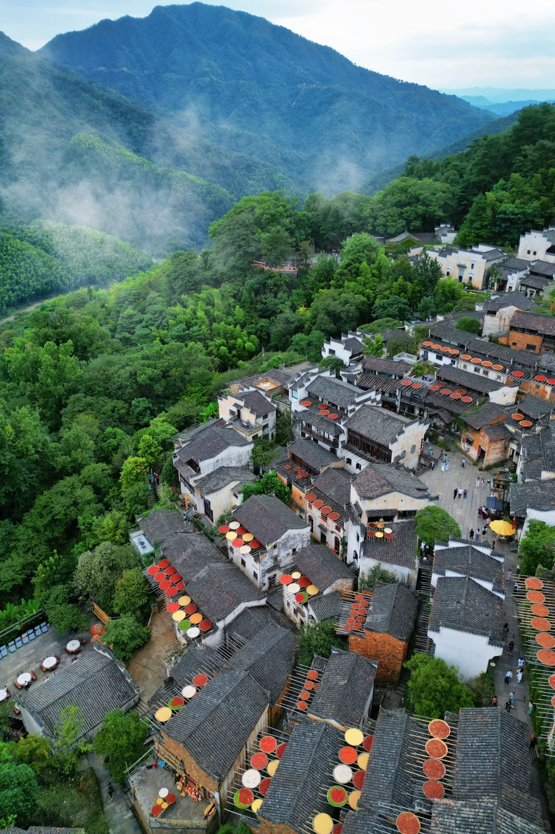 去了婺源33次，我唯一安利的夏日避暑路线…