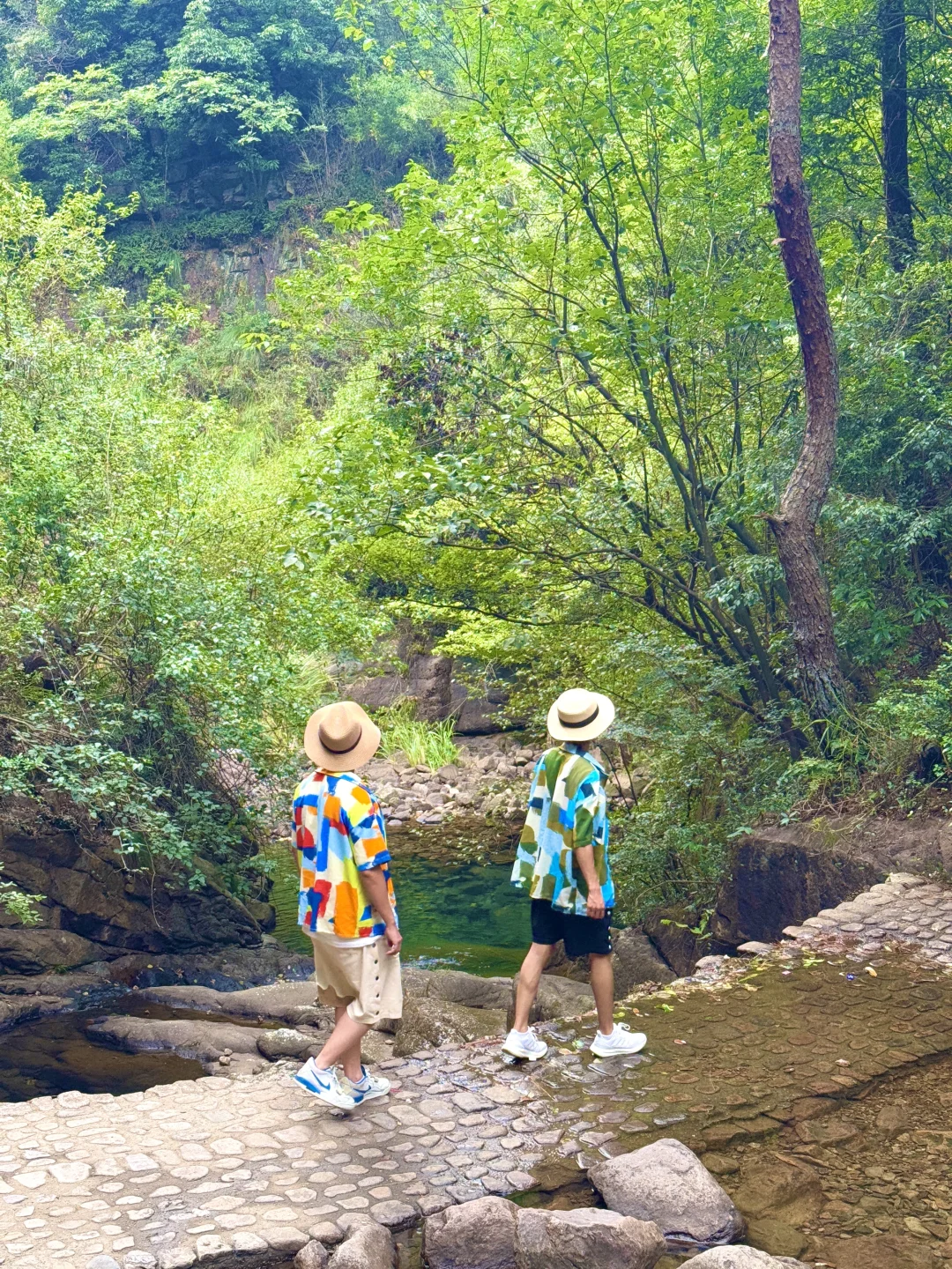 这种绿色是真实存在的🍃live图❗️