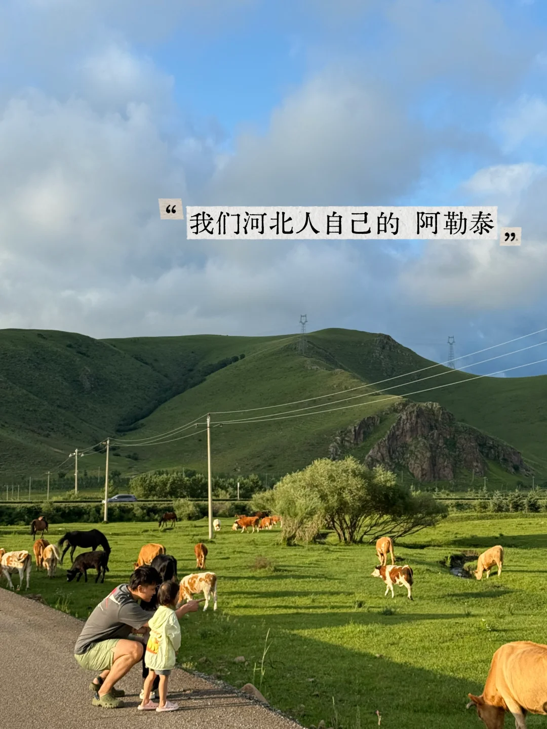 免费草原随便跑，教师暑假低成本方式