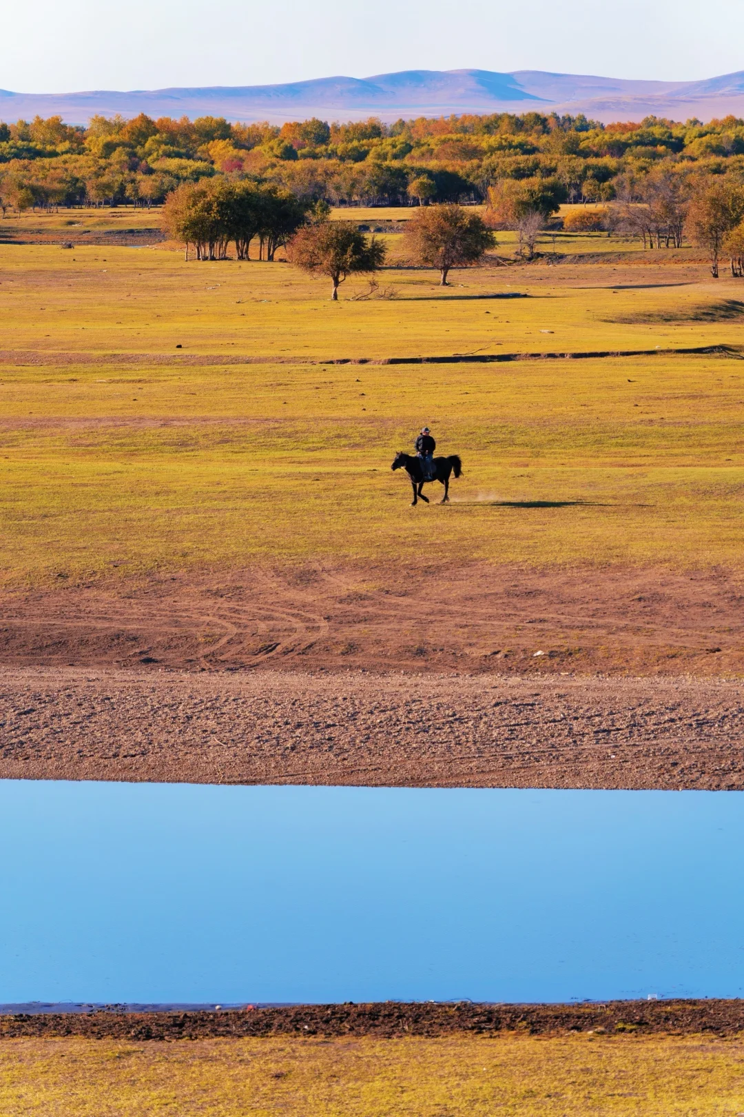 已经开始期待呼伦贝尔封神级别的秋天了🍂