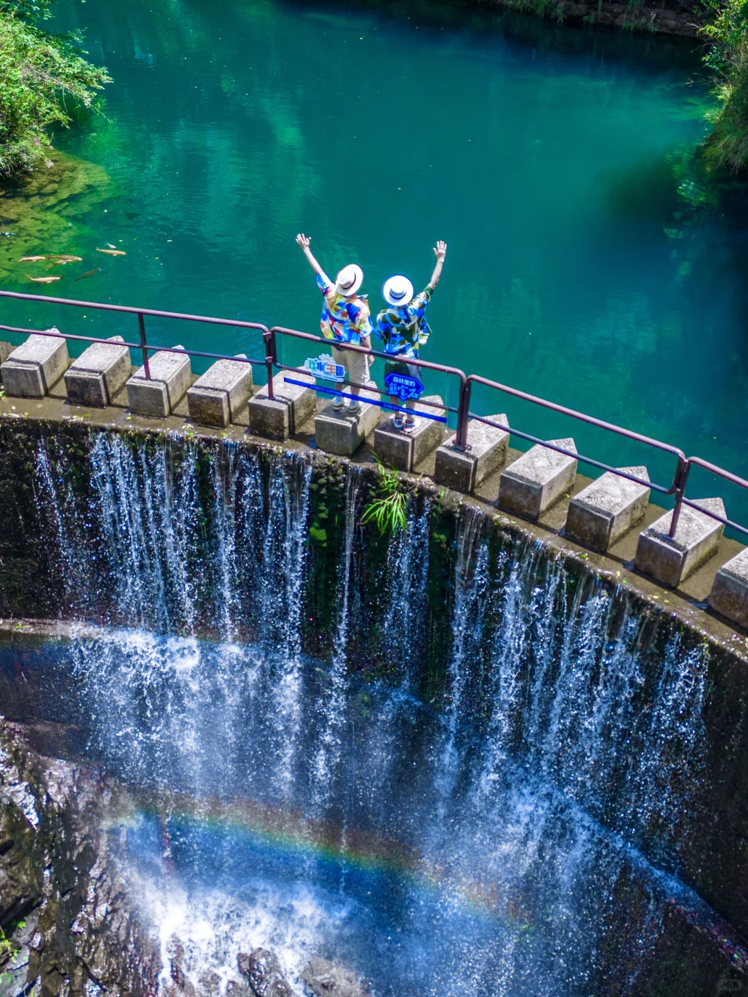 这种绿色是真实存在的🍃live图❗️