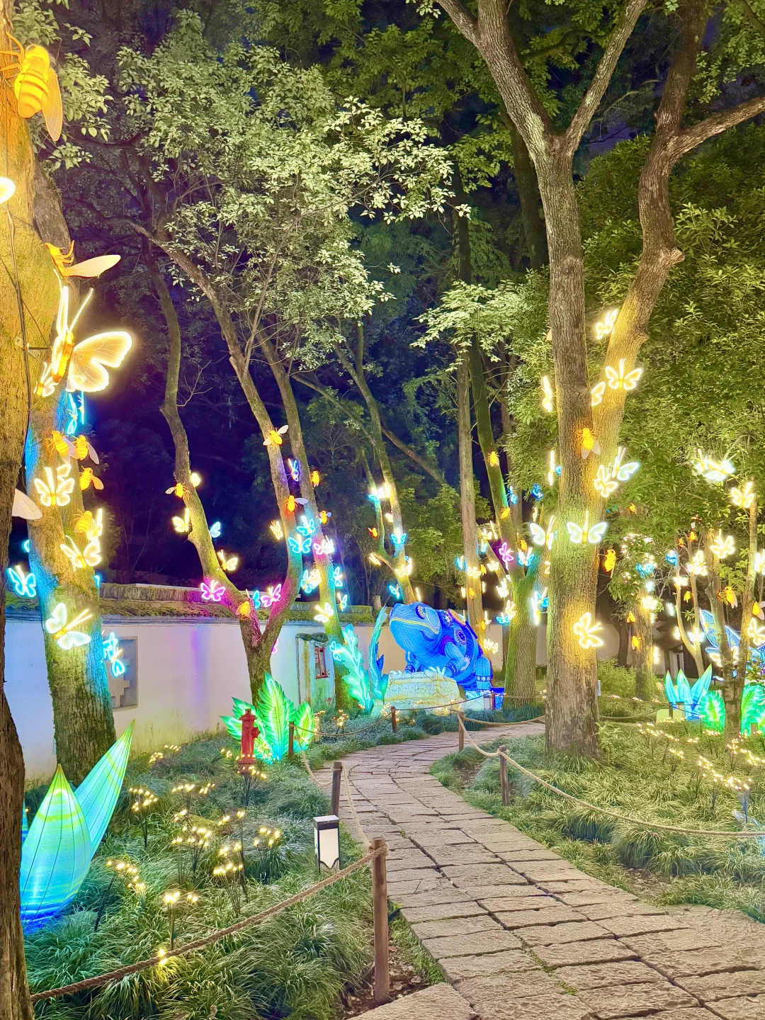 这种绿色是真实存在的🍃live图❗️