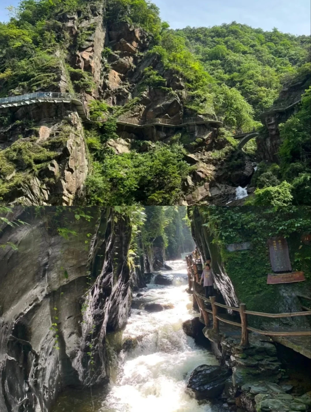 暑假黄山必打卡景点！