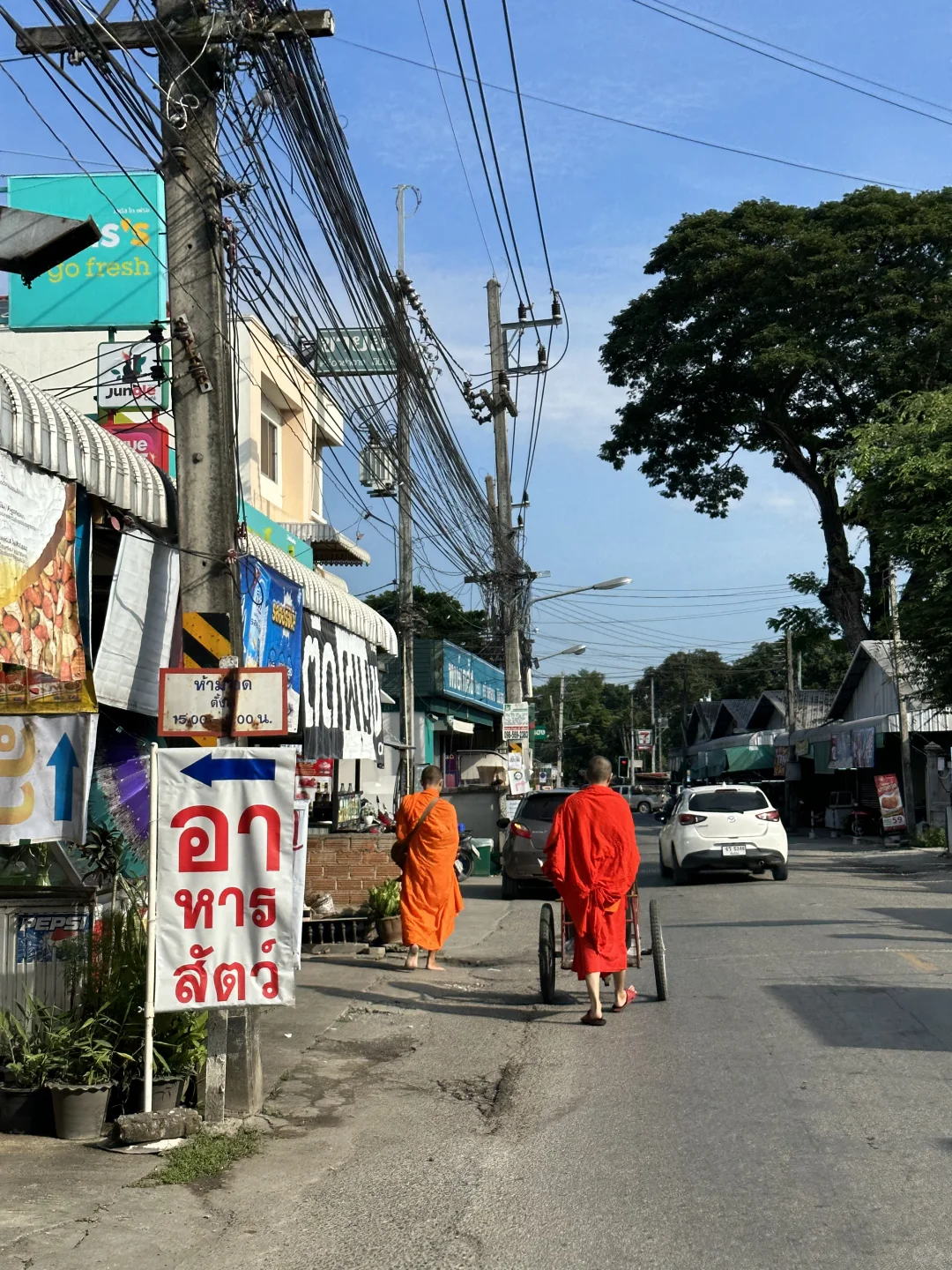 2025泰国旅行🇹🇭泰国旅行必备好物