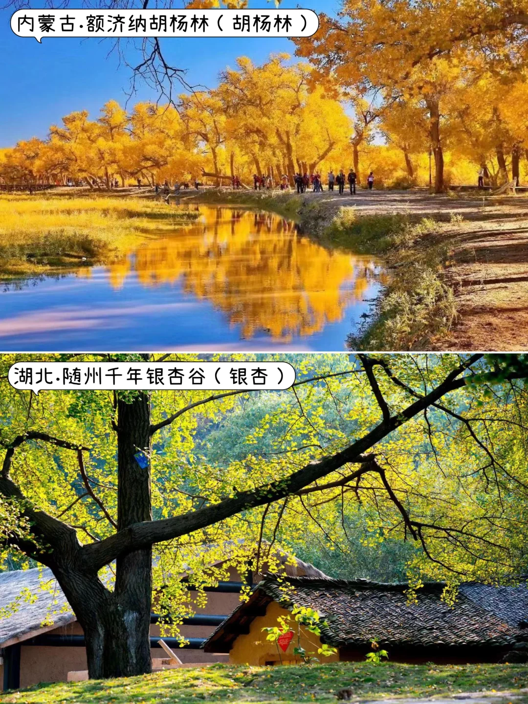 ✨国内9-11月去哪玩？｜中秋.国庆.秋天旅游