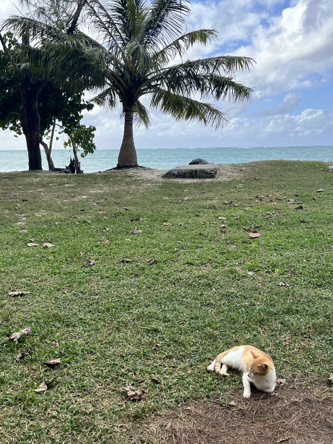 免签的美属地，穷鬼可冲！