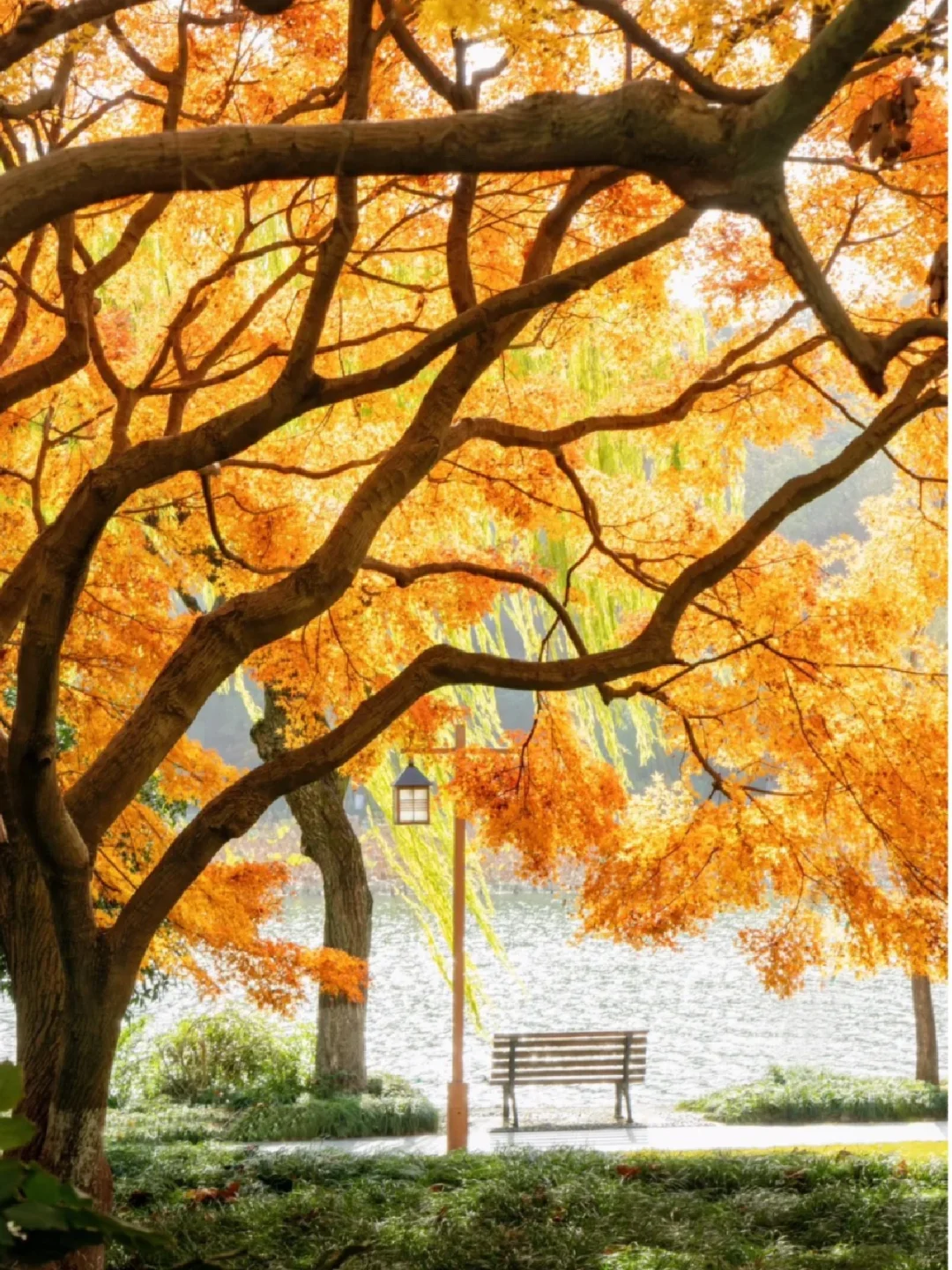 杭州《盗墓笔记》旅游攻略：跟着铁三角游杭城