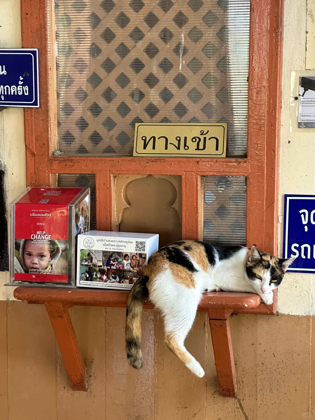 2025泰国旅行🇹🇭泰国旅行必备好物