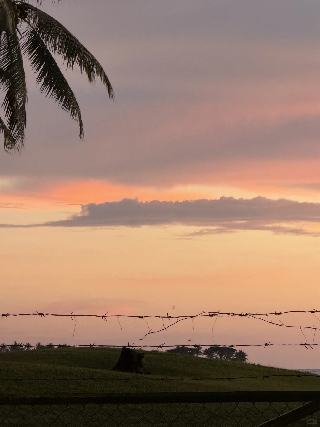 🇲🇾马来西亚4天3夜旅游攻略🌴