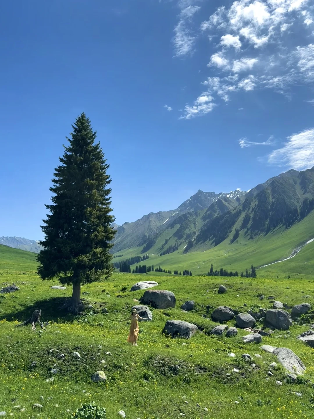 新疆这里今年一定会火！是live也是life🌲～