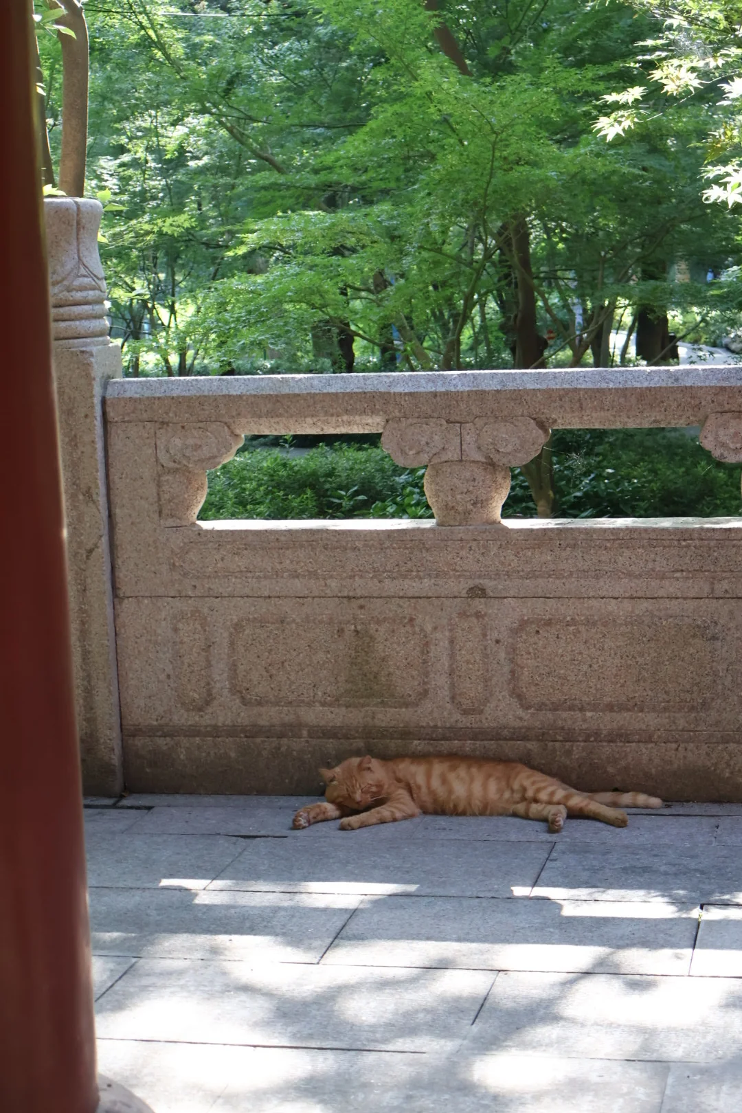 一个P人的自由行